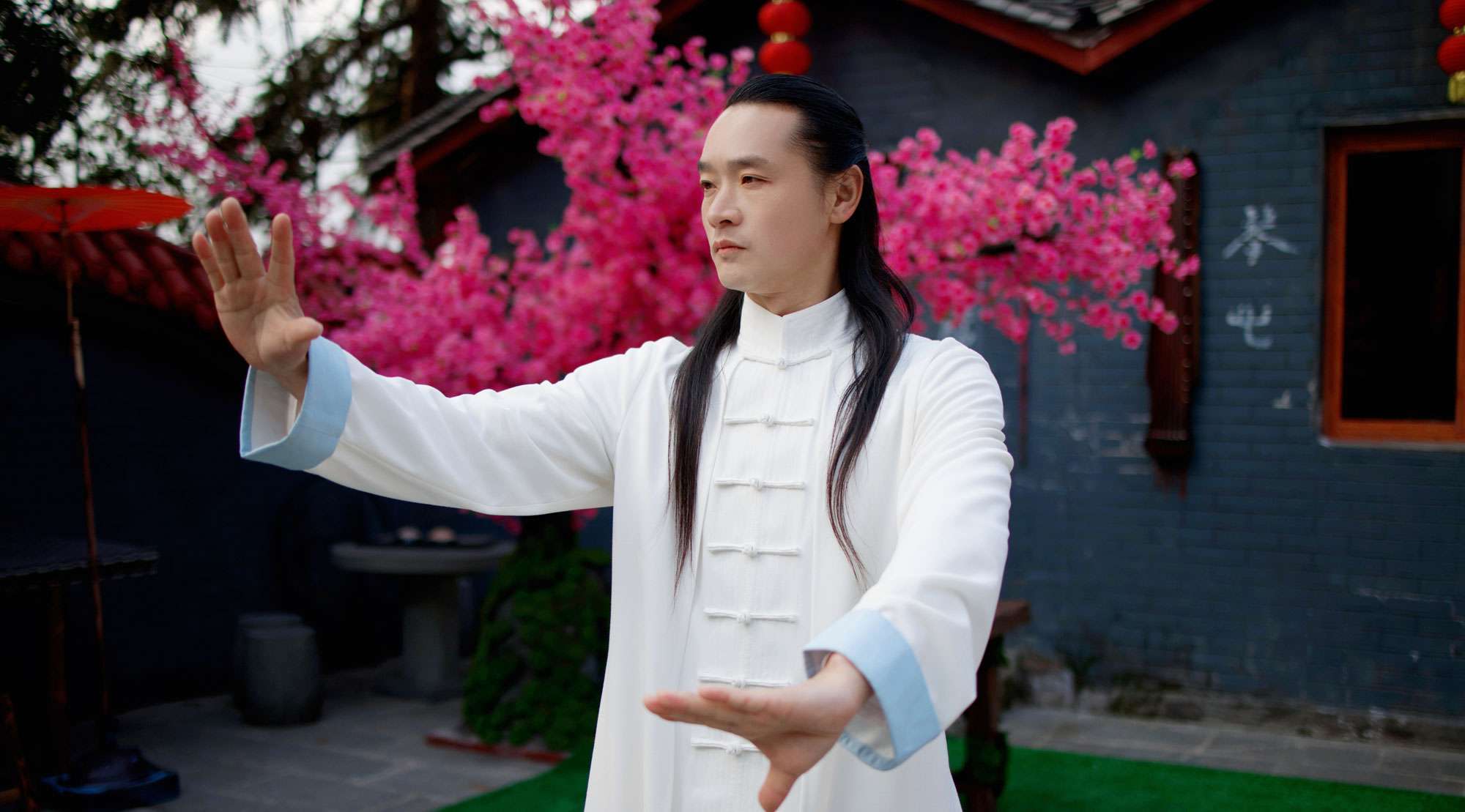 Lin Yun 1 - Wudang Kung Fu